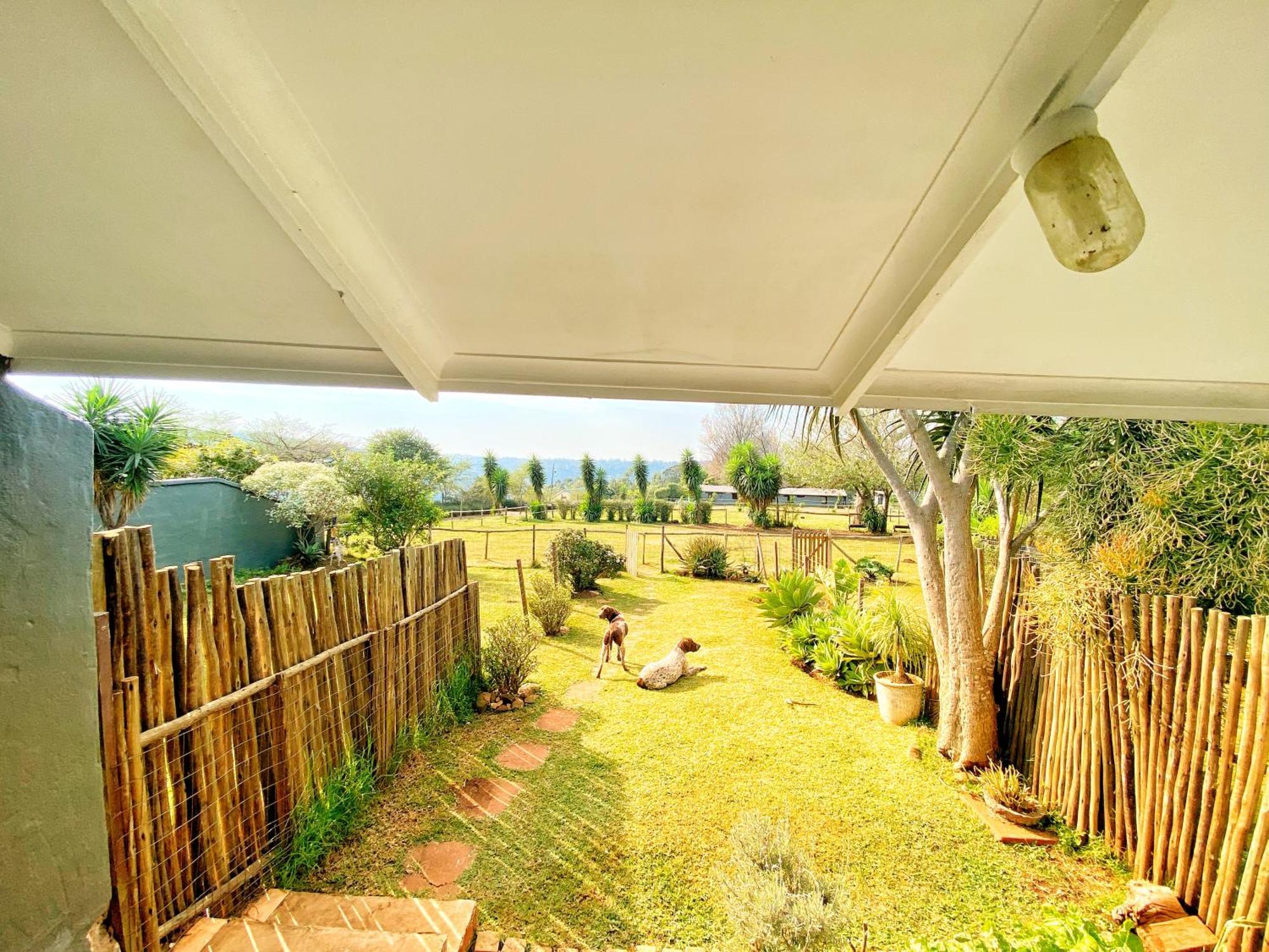 Fever Tree Guesthouse Hillcrest Exteriör bild
